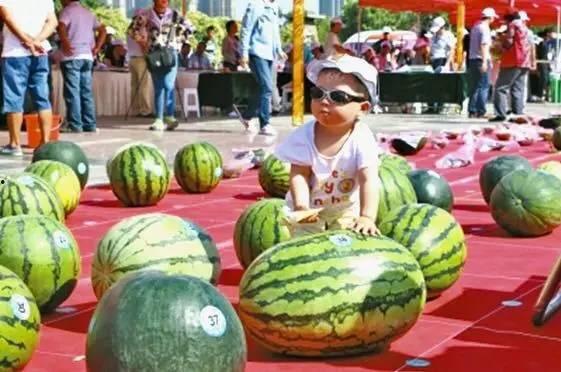 云兰吃瓜网站免费入口,免费入口带你畅游娱乐世界